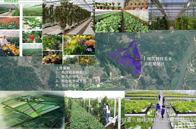 金三角特区特邀云南农业大学教授把脉产业发展